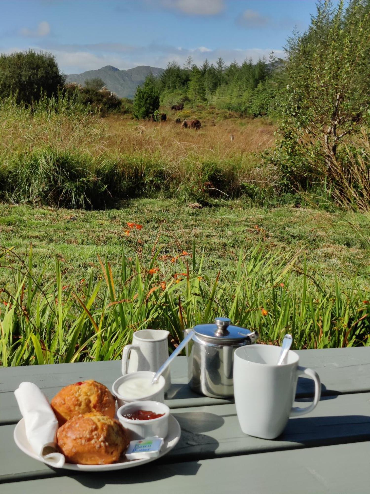 Álaind Lodges, Sneem Kültér fotó