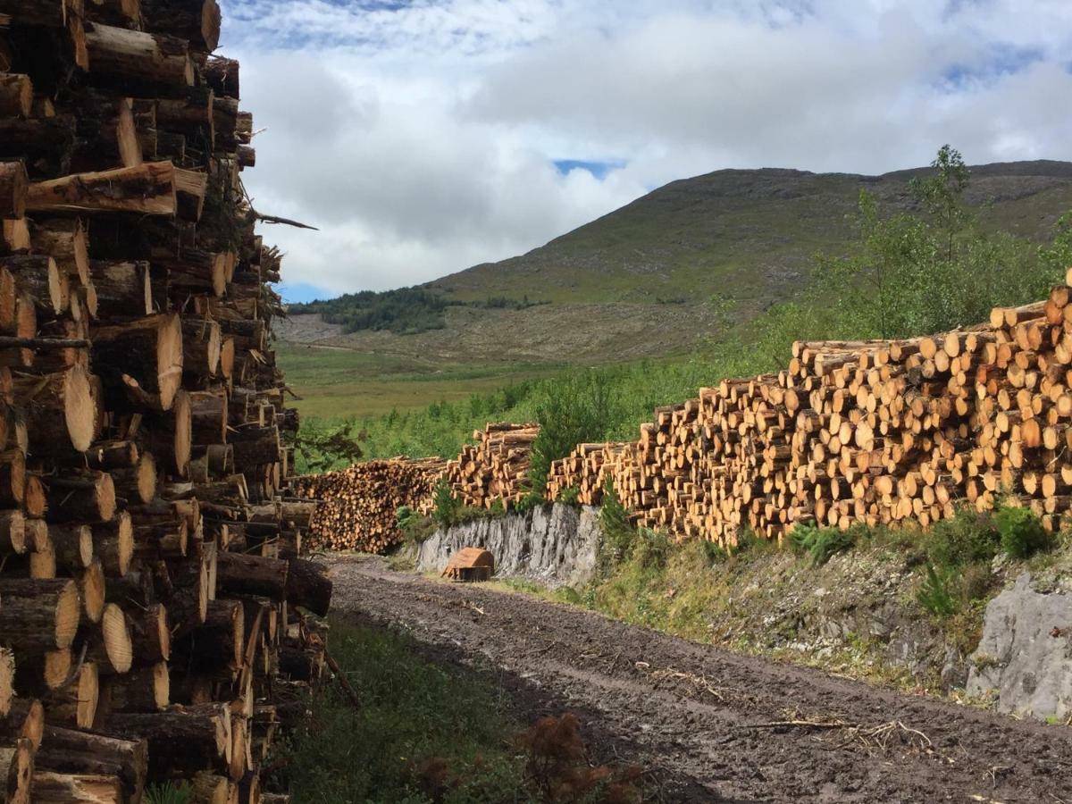 Álaind Lodges, Sneem Kültér fotó